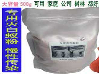 泉港白蚁药泉港那里有卖白蚁药惠安白蚁怎么除
